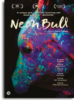 Neon Bull DVD