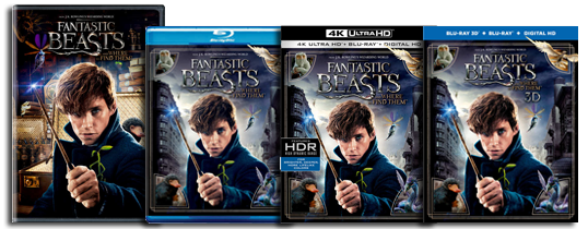 Fantastic Beasts DVD Blu-ray UHD