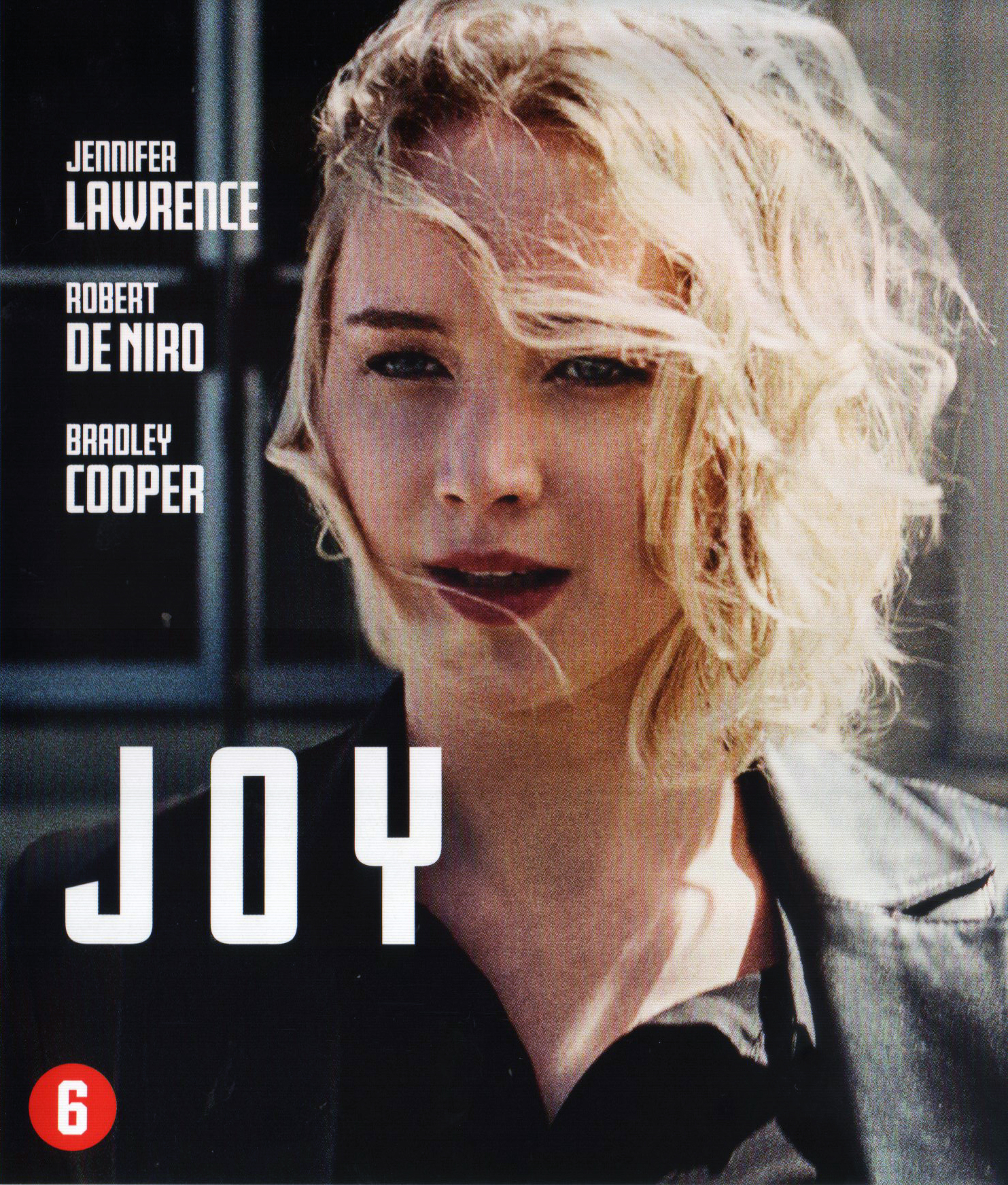 Joy (Blu-ray)