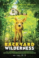 Adembenemende beelden van de nabije natuur in   BACKYARD WILDERNESS - te zien in Omniversum