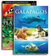 Twee prachtige natuurdocumentaires vanaf 26 maart op DVD via TDM.