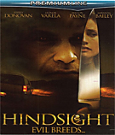 Hindsight cover
