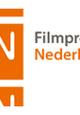 Nederlandse Filmindustrie verliest miljoenen door illegaal downloaden.