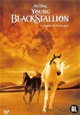 Young Black Stallion, The