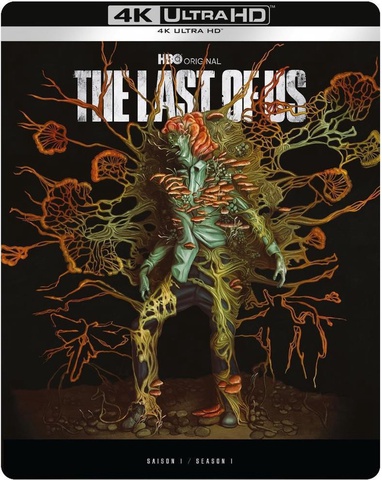 Last of Us, The - Seizoen 1 cover