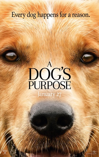 Dog's Purpose, A cover