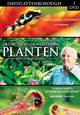 Fascinerende Wereld van Planten, De