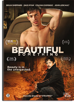 Beautiful Something DVD