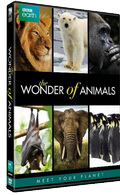 BBC Earth The Wonder of Animals DVD