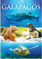 Galapagos DVD