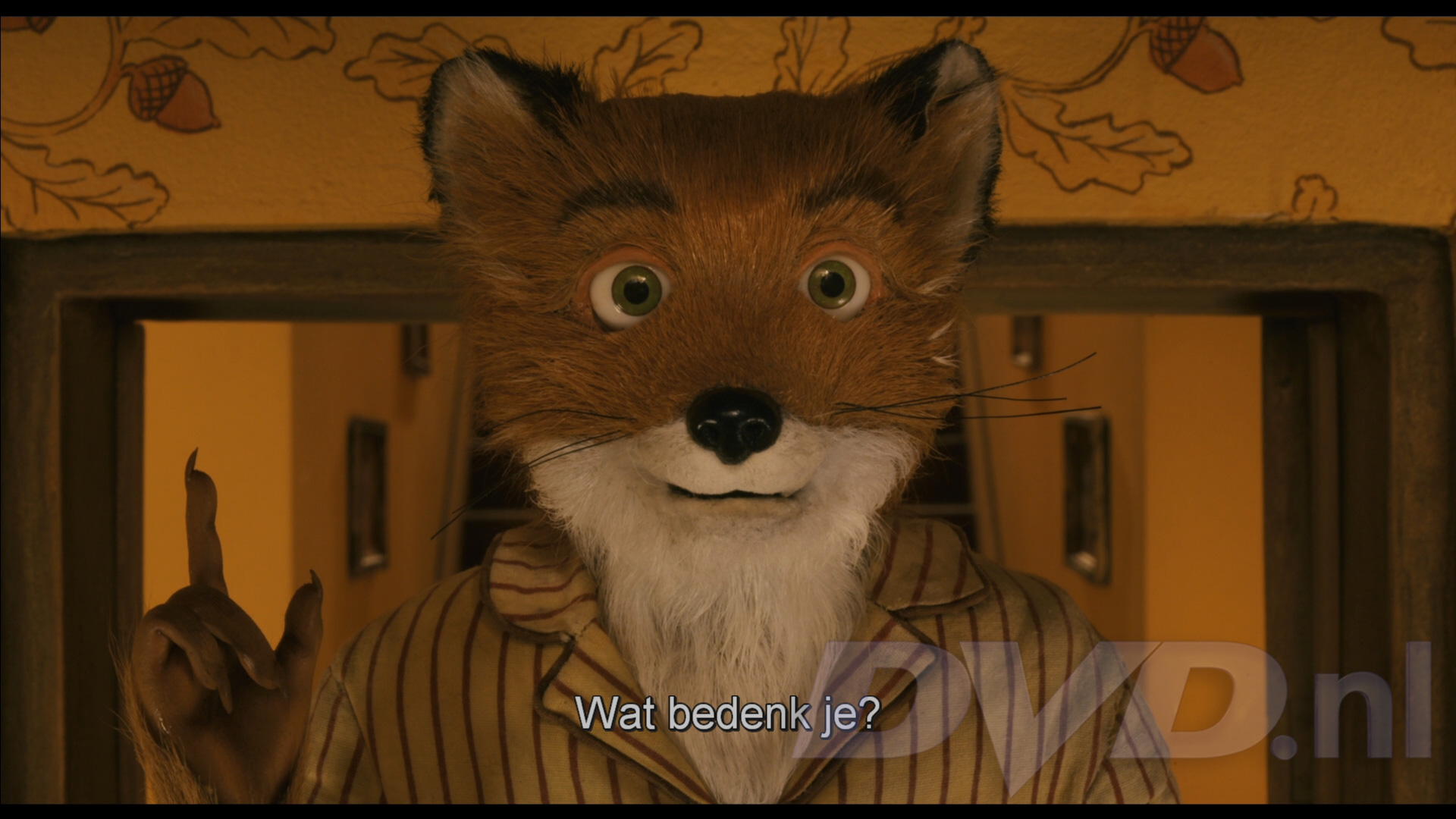 Mister fox. Мистер Фокс. Великолепный Мистер Фокс.